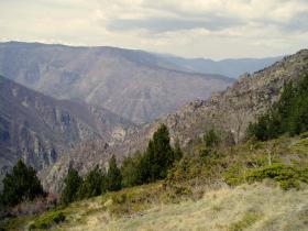 photo coins arrondis